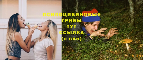 спайс Баксан